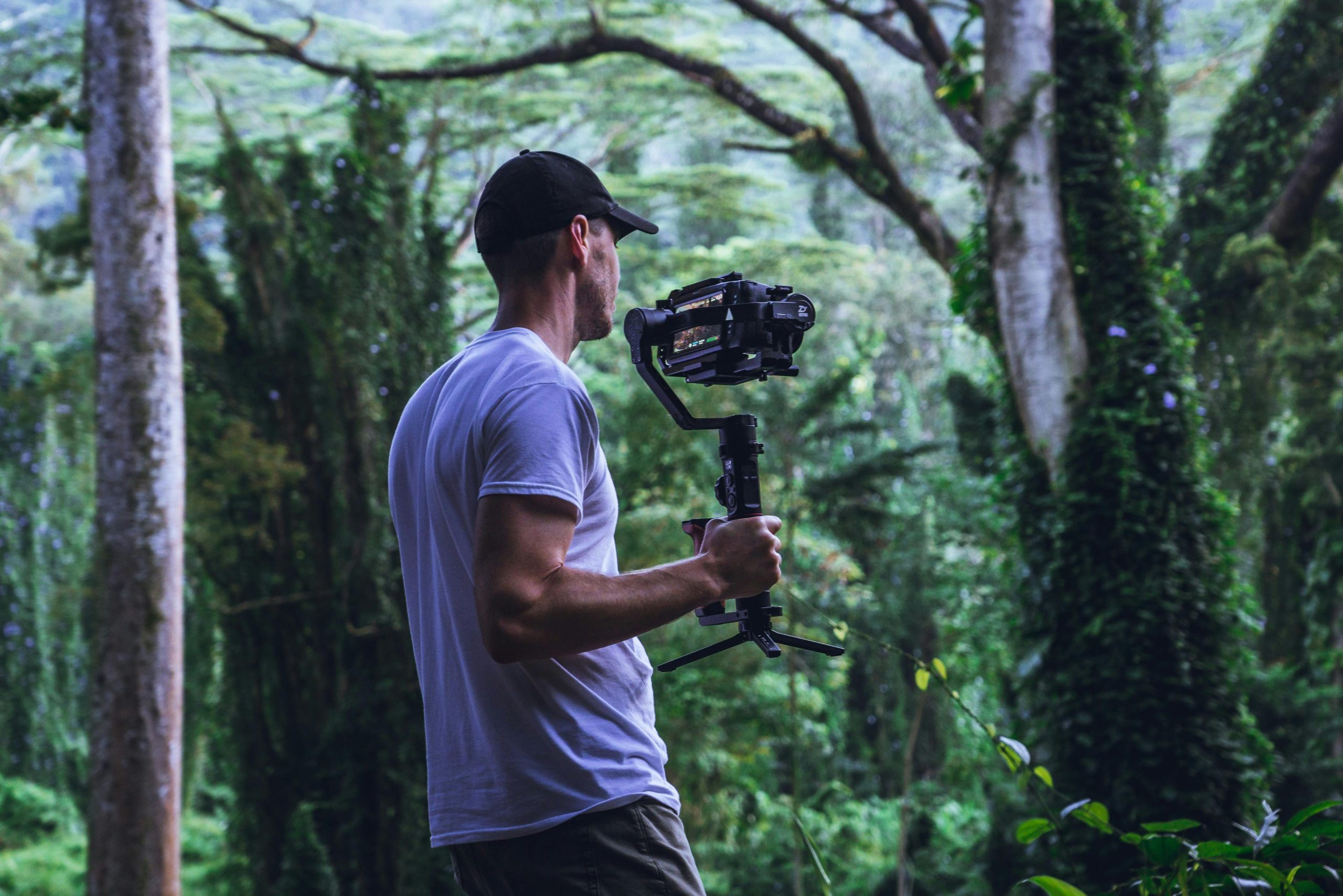 Videography in Cairns: How to Tell Your Brand’s Story Through Video